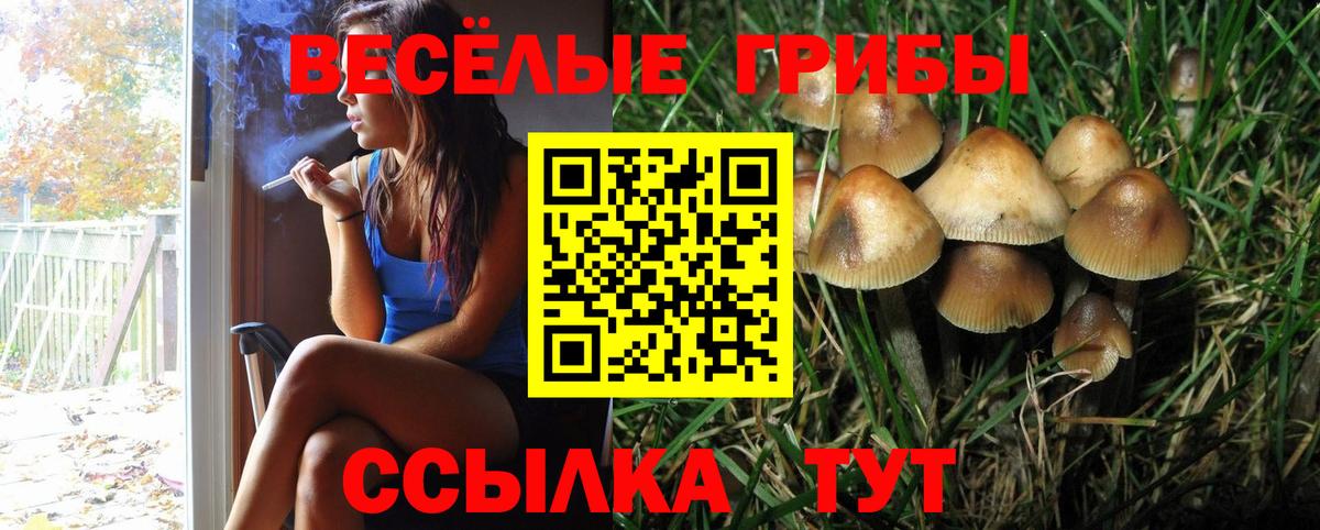 Псилоцибиновые грибы мухоморы Трёхгорный