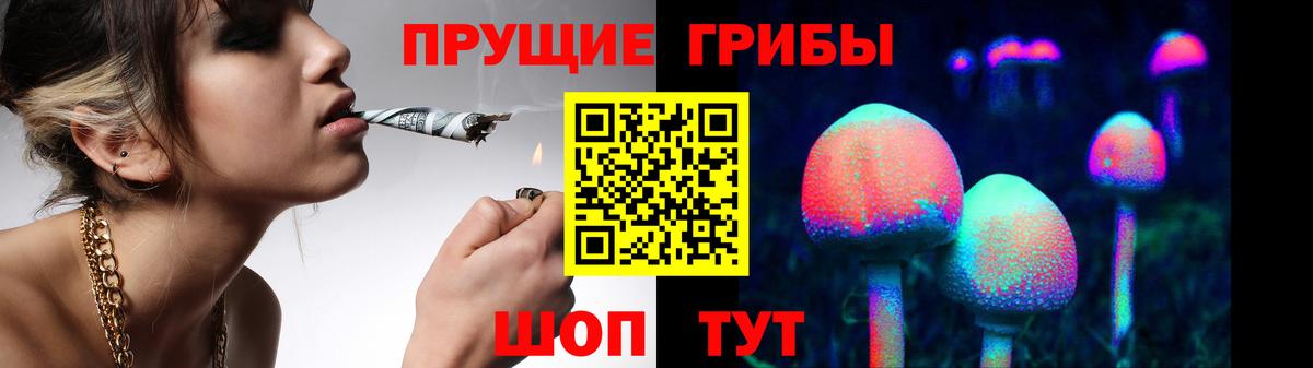Трёхгорный  Галлюциногенные грибы мицелий  Вход с VPN 